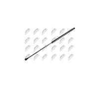 Cilindro Portellone Cofano Occhiali Posteriore per Peugeot 207 Cc WD_ 8731N6