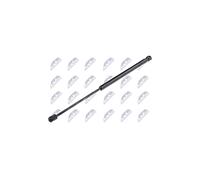 NTY Kit molle a gas per bagagliaio AE-VW-070 per VW Passat B7 SW 10-14 L453mm 580N