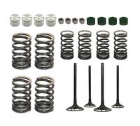 Kit molle a secchiello for valvola di scarico aspirazione motore for DRZ400 DRZ400E 2000-2007 DRZ400S 2000-2019 DRZ400SM 2005-2021