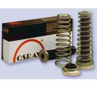 KIT MOLLE AGGIUNTIVE RINFORZO CARICO FIAT PUNTO Tutti Modelli dal 1993 al 1999