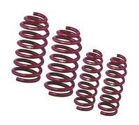 Kit Molle Assetto Vogtland 951018 per BMW 3er E30