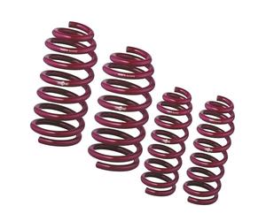 Kit Molle Assetto Vogtland 951024 per BMW 5er E34