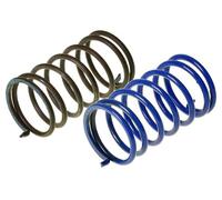 243.010 KIT MOLLA CONTRASTO VARIATORE POLINI PIAGGIO BOSS