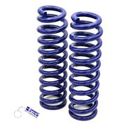 Kit Molle di Rialzo per Sospensioni Posteriori DKRS +50mm Land Cruiser Prado 95