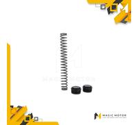 Kit molle forcella e tappi Anteriore Ohlins per Honda CB 650 RA FSK100 FSK 150