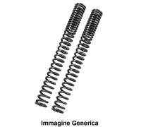 Kit molle forcella progressive YAMAHA XT660X DM01B 2008-2014 MY29 BITUBO