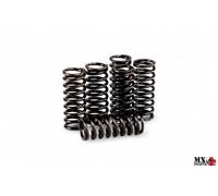 KIT MOLLE FRIZIONE BETA RR 430 2018-2021 DP HDS101.6