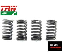 KIT MOLLE FRIZIONE RINFORZATE +10% TRW MEF145-4 HONDA CB 600 F HORNET- CBR 600