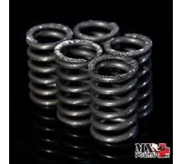 KIT MOLLE FRIZIONE RINFORZATE BETA RR 430 2018-2019 DP HDS101.6