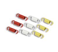 KIT MOLLE MOLLETTINE FRIZIONE MALOSSI PER SUZUKI BURGMAN AN UH 200 250 NEXUS 300