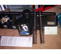 KIT MOLLE + OLIO OHLINS X FORCELLA X SUZUKI GSXR GSX R 750 600 2011 2012