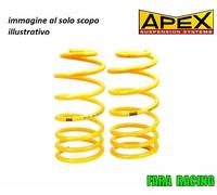 KIT MOLLE Renault R5 GT Turbo abbassamento: 60mm APEX cod.150-1020