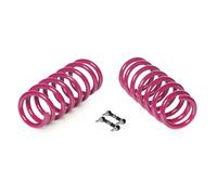 Kit Molle Ribassate Tuning Audi S5 T.F2 (B10) 2024>