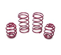 Kit Molle Assetto Vogtland 951018 per BMW 3er E30