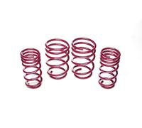 Kit Molle Ribassate Tuning Mini Mini T.R55|R57 10.2007>