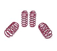 Kit Molle Assetto Vogtland 956071 per VW Golf VI