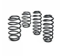 Molla del telaio EIBACH Pro-Kit E10-20-022-04-20