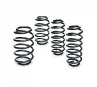Molla del telaio EIBACH Pro-Kit E2003-140
