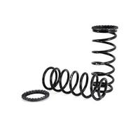 Kit molle sospensione posteriore C-2410 Arnott per TOYOTA LAND CRUISER PRADO
