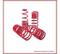 Kit Molle Sportive Fiat Cinquecento / Seicento Abbassamento 40-40mm MTS-Technik