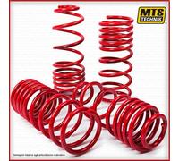 Kit Molle Sportive Fiat Panda 1986-2003 141A Abbassamento - 40mm Assetto