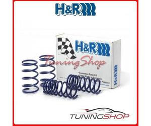 KIT MOLLE SPORTIVE H&R AUDI A6 AVANT TYP F2 4WD 28687-3#1 H&R Molle