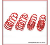 Kit Molle Sportive Ribassate Assetto Renault Clio III Sport Facelift 2.0Cup TA