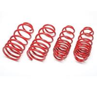 Kit Molle Sportive Ribassate BMW Serie 3 Touring F31/3K 2012-2019 -55mm -35mm