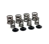 Kit molle valvola 0.490 57-85 XL Sportster doppia molla Manley