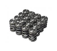 Kit Moltiplicatore Di Molle E Ritenzione Alpha Series Skunk2 Racing 344-05-1360