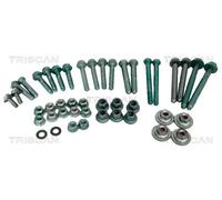 Kit montaggio braccio sospensione Braccio trasversale oscillante 8500 29875