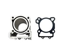 Kit Montaggio pistone Per LONCIN YBS300 YBS 300 Kit Guarnizione Cilindro Blocco Pistone Anello Moto Moto Kit Cilindro(Cylinder and Gasket)