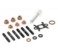 Elring Kit montaggio turbocompressore 109.960 per Dacia, Nissan, Renault