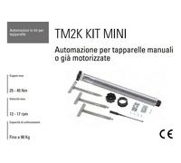 AUTOMAZIONE TAPPARELLE MANUALI O GIÀ MOTORIZZATE FAAC TM2K KIT MINI 30/17 143202