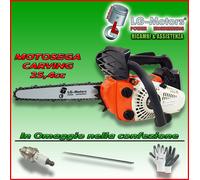 KIT MOTOSEGA 25 CC BARRA CARVING A PUNTA POTATURA + OMAGGI GUANTI CANDELA