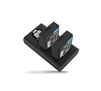 Kit NEWELL caricatore doppio + 2 batterie LPE10