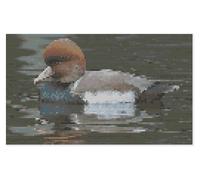 Kit O Pattern Per Punto Croce Anatra Su Acqua Di Florashell