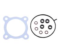 Kit O-Ring Iniettore Winderosa 625015