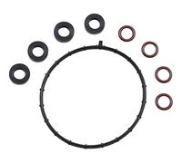 Kit O-Ring Iniettore Winderosa 625016