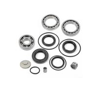 Kit O-Ring Tappo Riempimento Guarnizioni Cuscinetto Differenziale Posteriore Per FourTrax 300 TRX300 TRX300FW 2x4 4x4 1988-2000