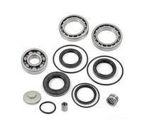 Kit O-Ring Tappo Riempimento Guarnizioni Cuscinetto Differenziale Posteriore Per FourTrax 300 TRX300 TRX300FW 2x4 4x4 1988-2000