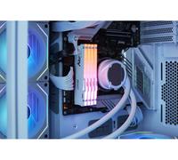 (KIT OF 4) BEAST WHITE RGB XMP NEW