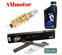 Kit Ohlins Honda Hornet 600 CB 2008 Mono Ammortizzatore Molle Forcella Olio Moto