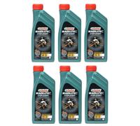 Kit Olio Motore Castrol Magnatec 5W30-C2-6