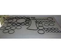 KIT OR ORING POMPA IRRORATRICI IRRORAZIONE ANNOVI REVERBERI 1105 1245 BH1200