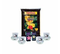 KIT ORCHIDEA - VASI + SOTTOVASI + RADICANTE + TERRA