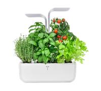 KIT ORTO DI ERBE AROMATICHE VERITABLE Smart - 2 l, Plastica, Tecnologia LED Adattiva Adapt'Light, Serbatoio acqua, Compatibile con