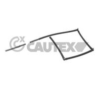 Kit P. Alesare Iniettore Viti Di Fermo Cautex 757249 per Citroën Peugeot