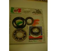 KIT PARAOLI & CUSCINETTI ALB. MOTORE CON OR X VESPA 180-200 RALLY ANNI 70