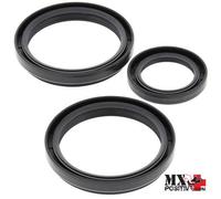 KIT PARAOLI DIFFERENZIALE ANTERIORE ARCTIC CAT 1000I GT 2012 ALL BALLS 25-2051-5